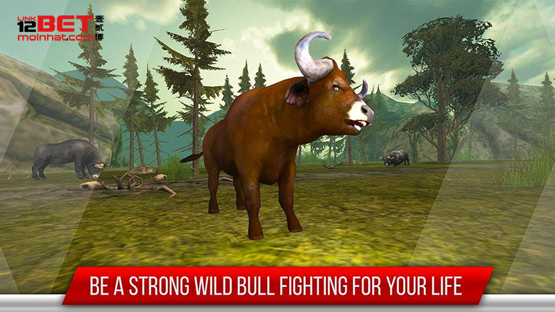 game-bull-bull